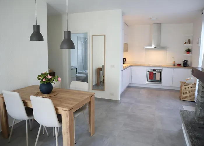 Ca Meriggio Bright Within Walking Distance Of The River Apartment Losone