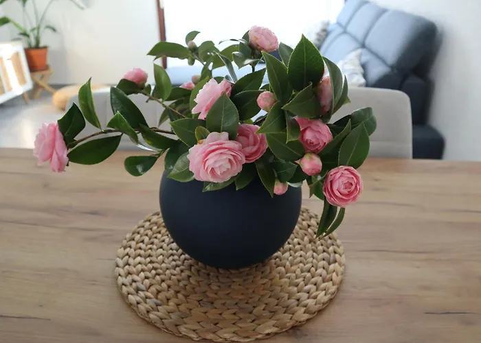 Ca Meriggio Bright Within Walking Distance Of The River * Losone